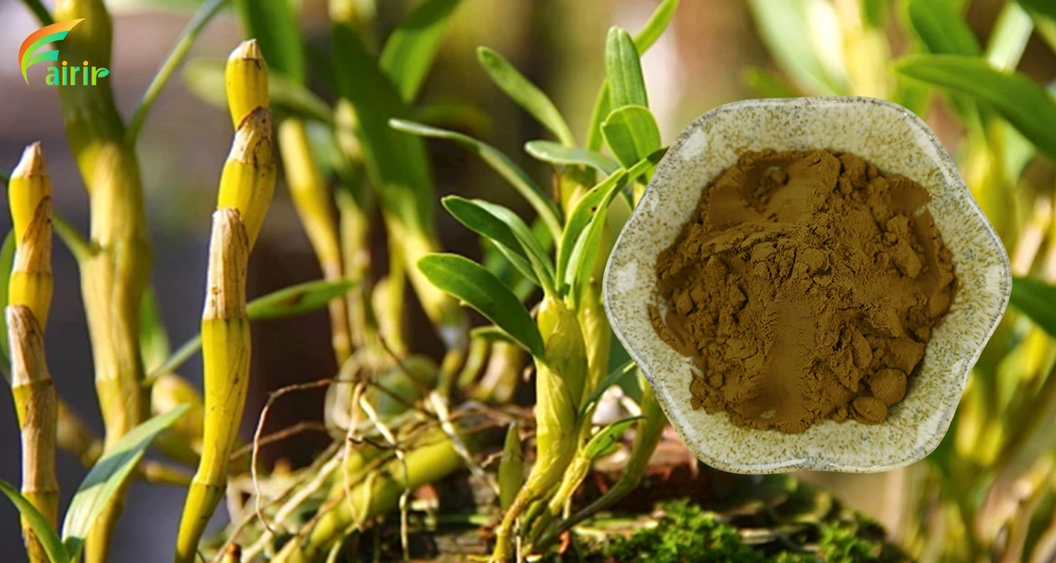 Dendrobium Extract Powder Dendrobium Extract Powder