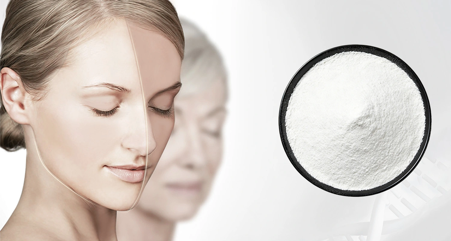 Spermidine Hydrochloride Powder Spermidine Hydrochloride Powder
