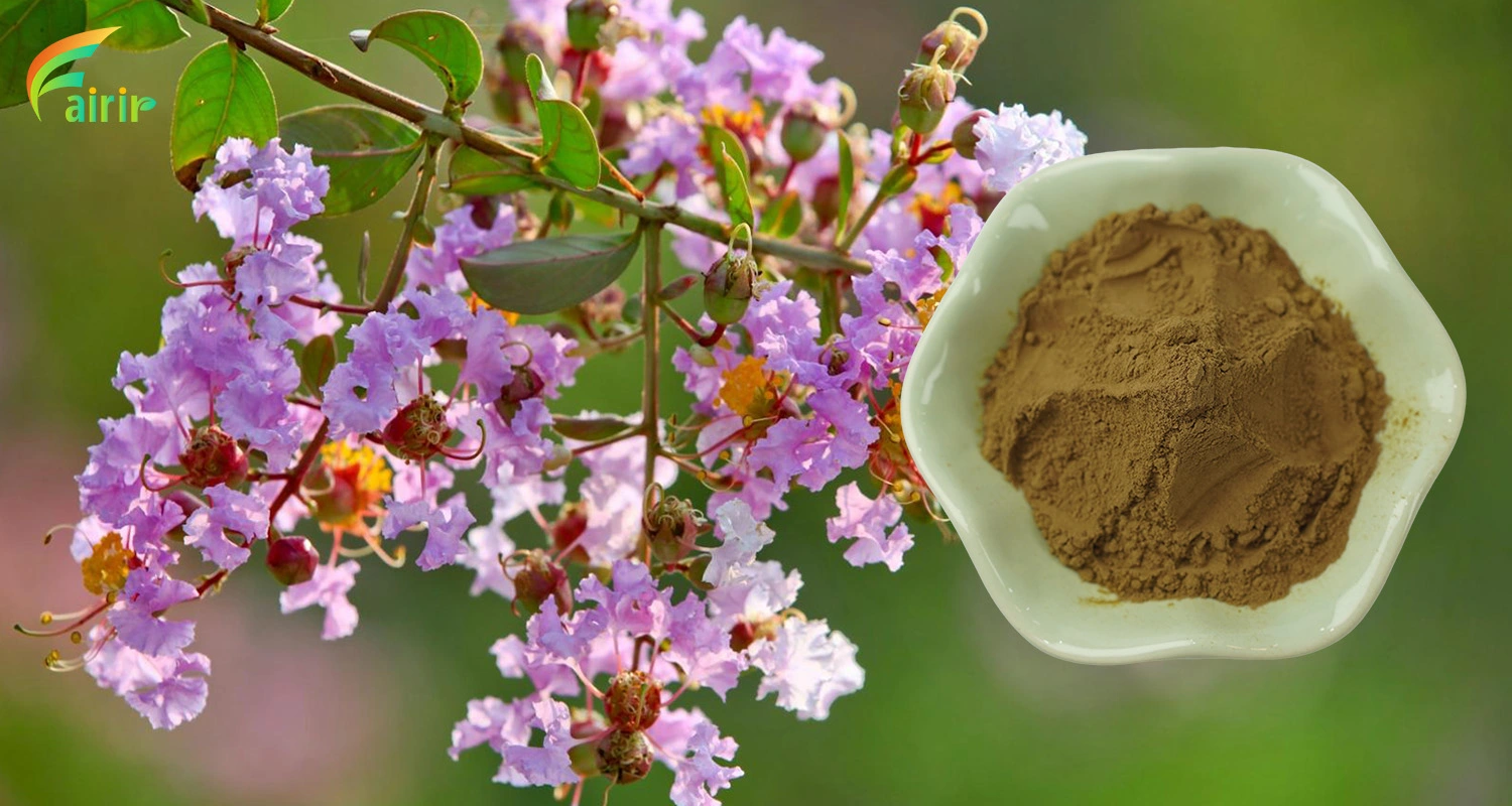 Bauhinia Extract Powder