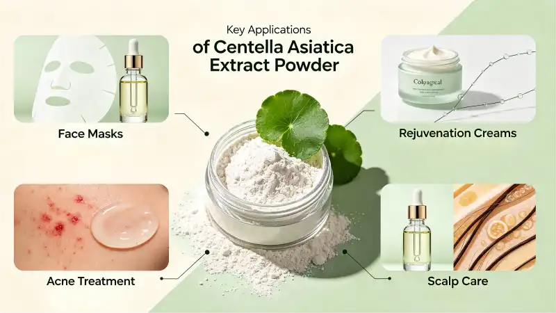 Centella Asiatica Extract Powder Applications