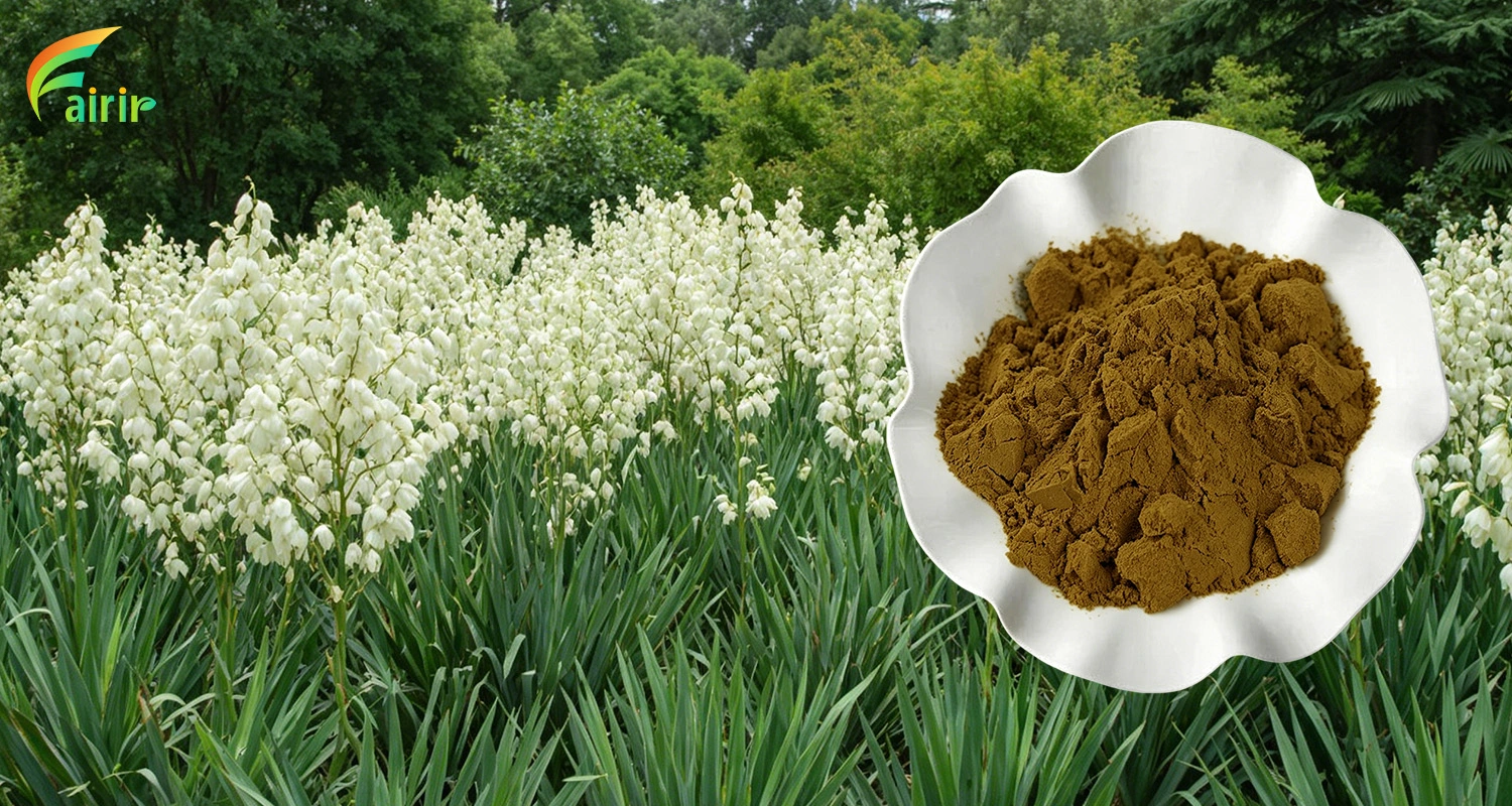 Yucca Extract Powder