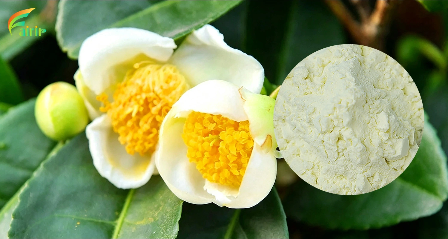 Camellia Sinensis Flower Extract