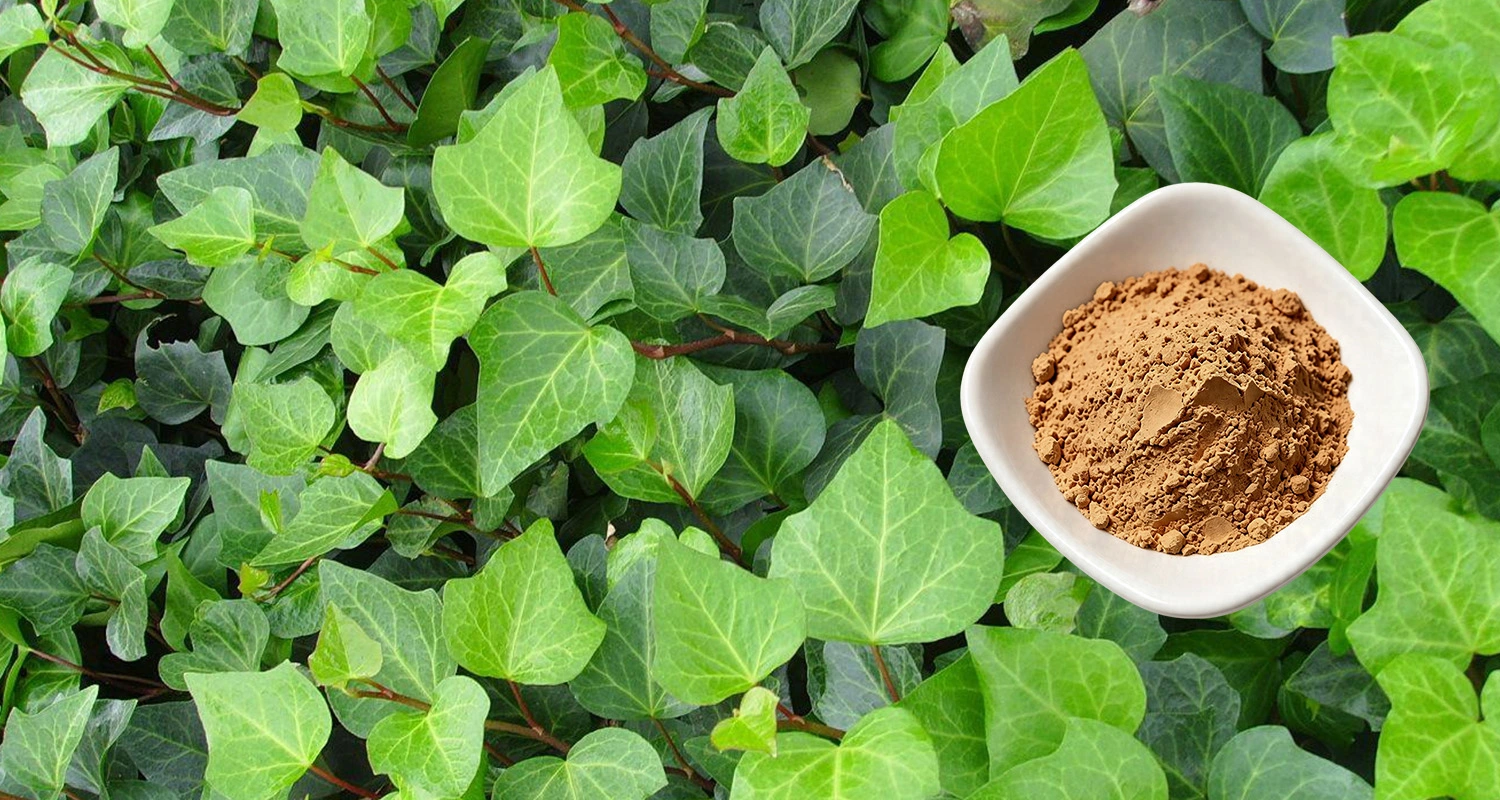 Hederacoside C Powder