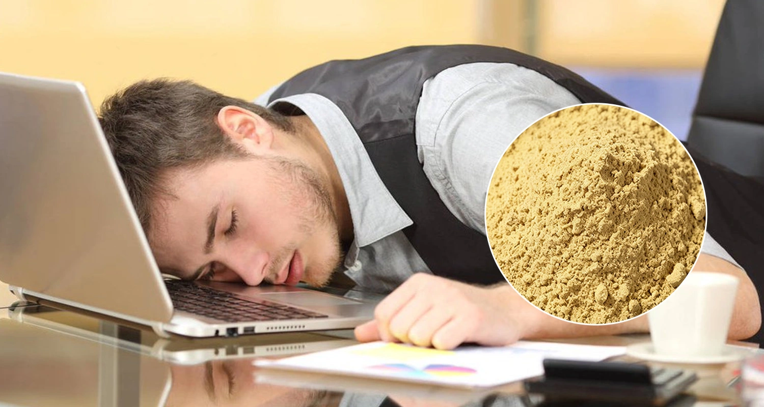 Beer Yeast Powder Beer Yeast Powder
