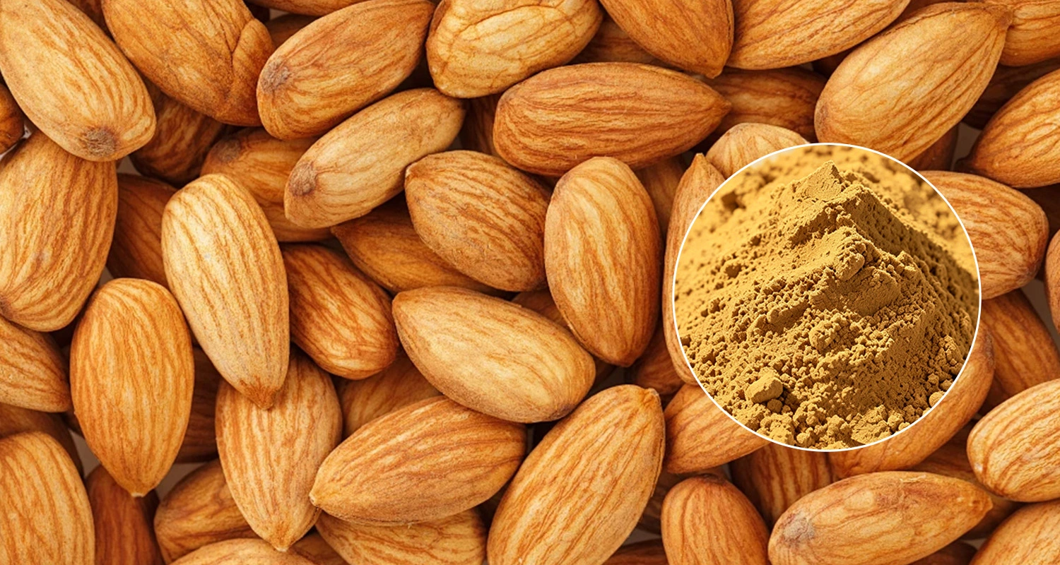 Peach Kernel Extract Powder