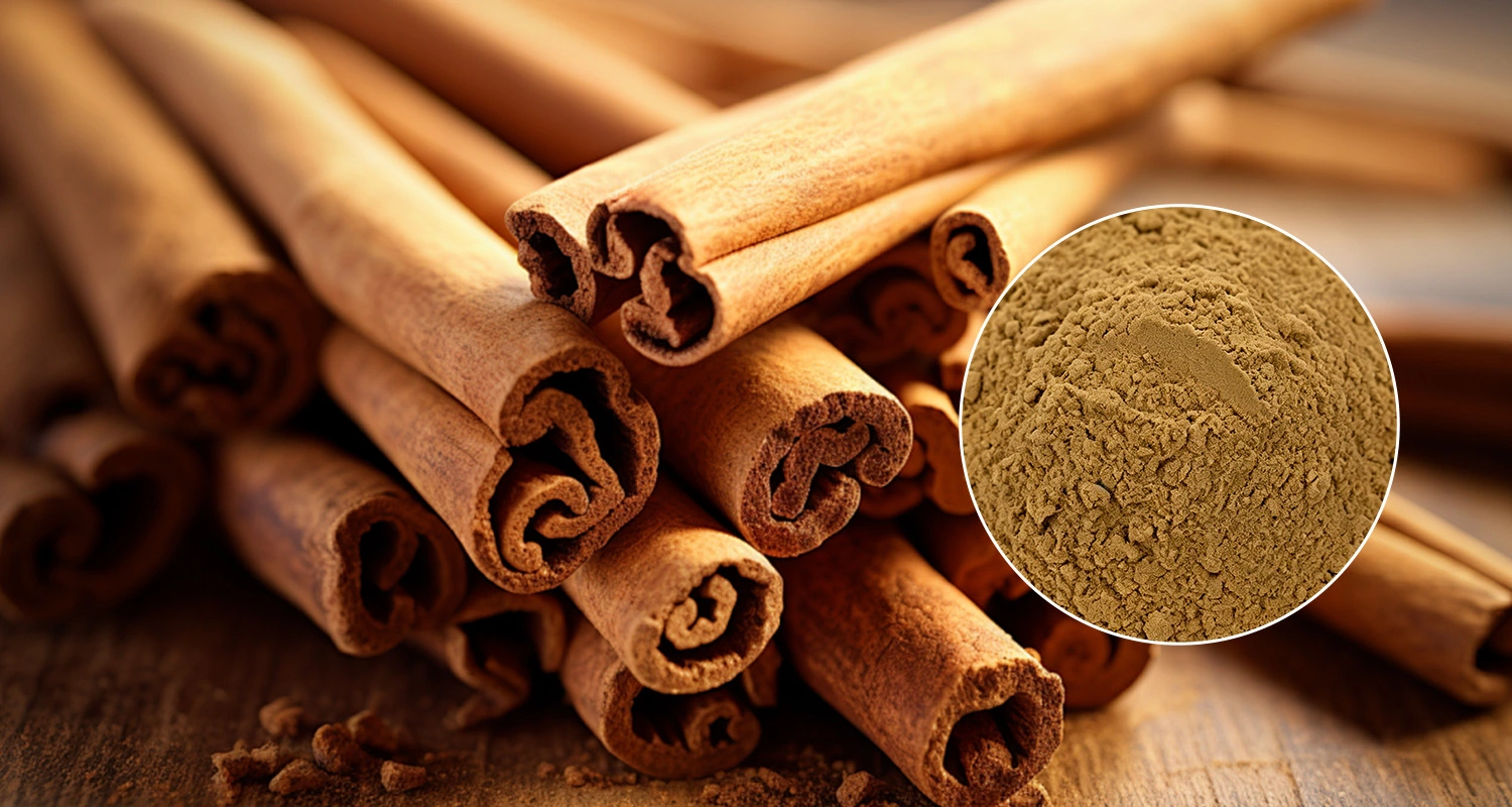 Cinnamon Extract Powder