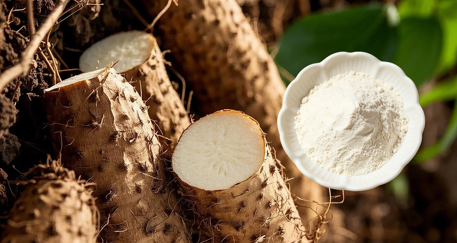 Wild Yam Extract Powder Wild Yam Extract Powder