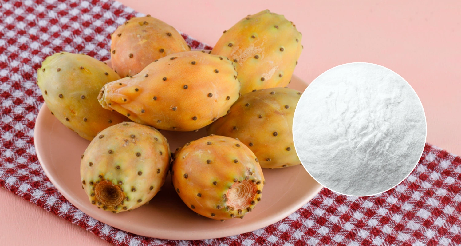 Prickly Pear Extract Powder Prickly Pear Extract Powder