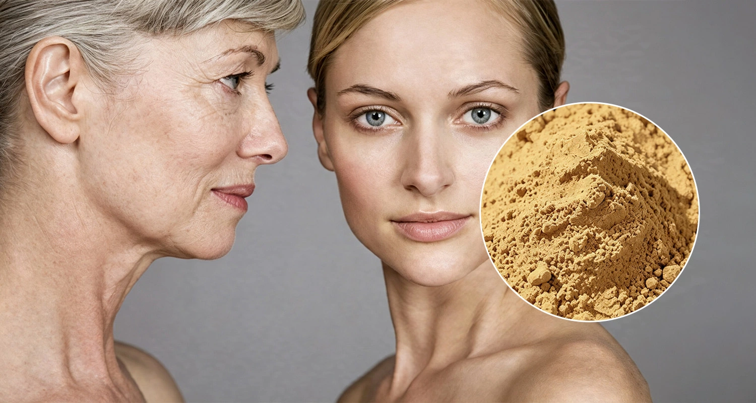 Tannin Powder Tannin Powder