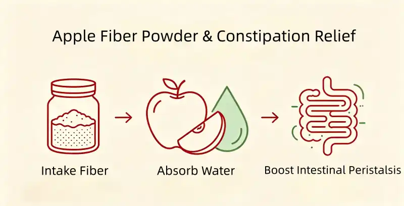 Apple Fiber Powder Benefits Apple Fiber Powder Benefits
