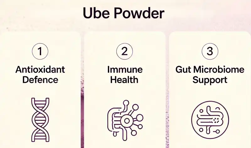 Ube Powder Benefits
