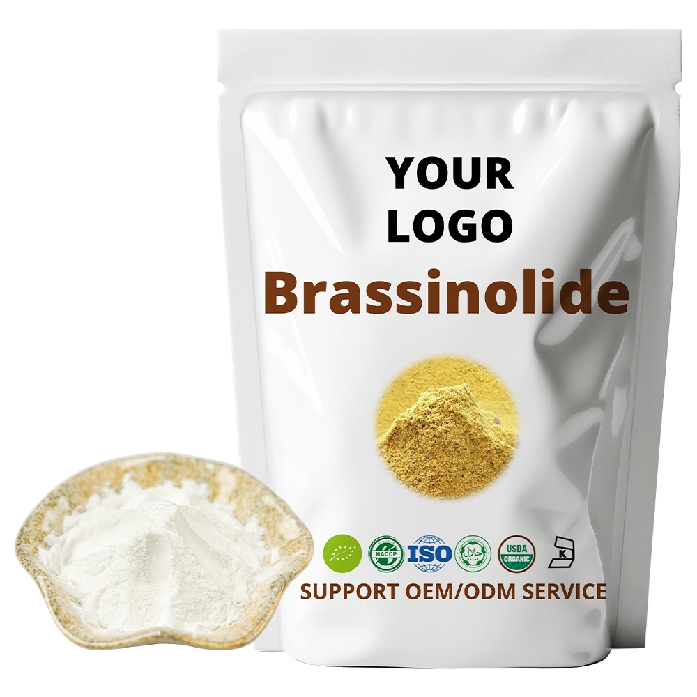 Brassinolide Powder Brassinolide Powder