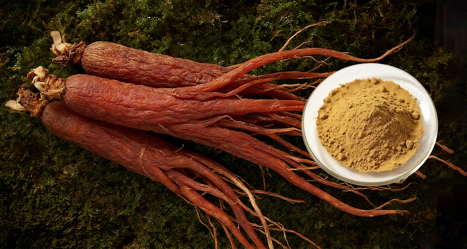 Best Red Ginseng Powder