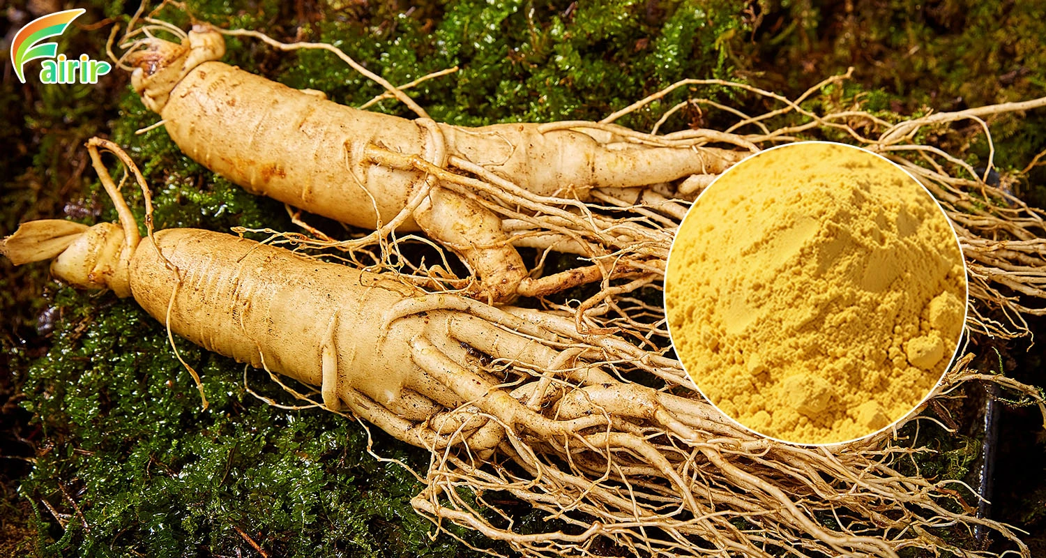 Ginseng Root Saponin Powder Ginseng Root Saponin Powder