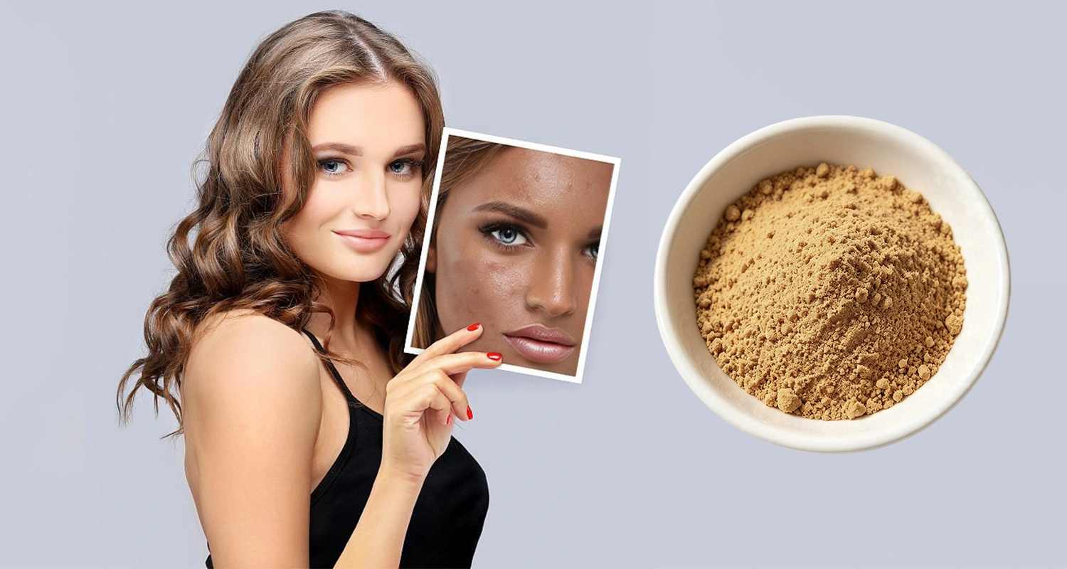 Radix Cynanchi Atrati Extract Powder 