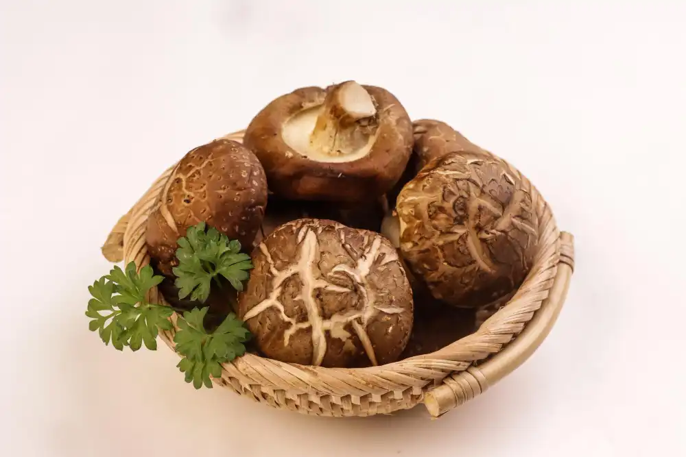 How to Choose High-Quality Shiitake Mushroom Extract Powder?