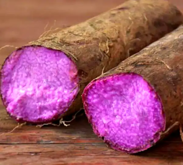 Why Purple Yam Ube Powder Is Trending in Global Cuisine？
