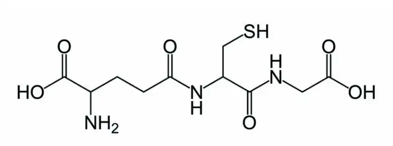 What Are the Key Benefits of Pure L Glutathione Powder for Detox?