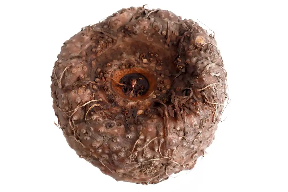 Can Pure Glucomannan Powder Promote Better Metabolic Health?