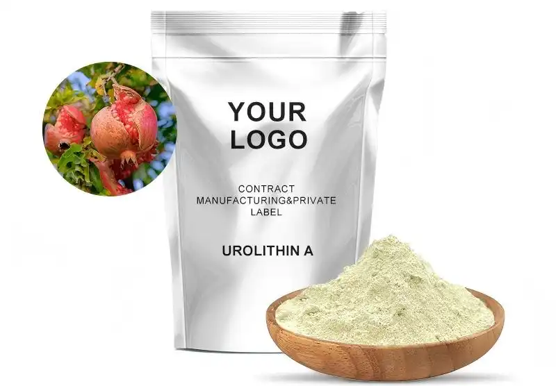 Top Urolithin A Uses for Gut, Heart & Brain Wellness