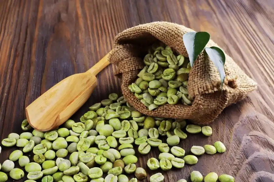 Unlock Natural Benefits with Premium Chlorogenic Acid Powder