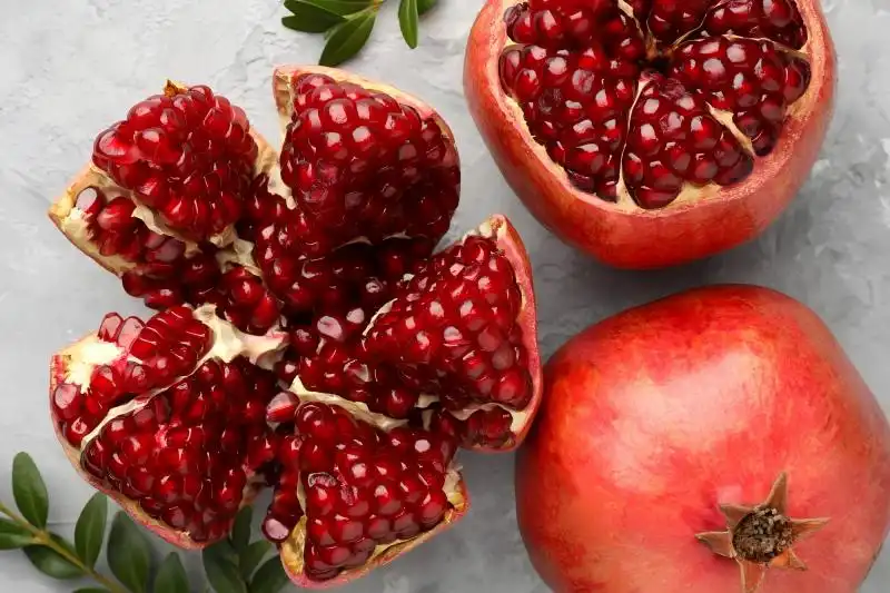 Urolithin A Powder Benefits for Inflammation and Oxidative Stress