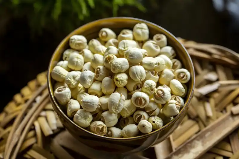 What Are the Key Benefits of Premium Lotus Seed Extract Powder?