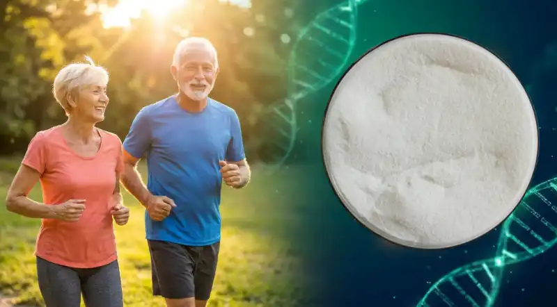 Why Is NMN Supplement Trending in Healthy Aging?
