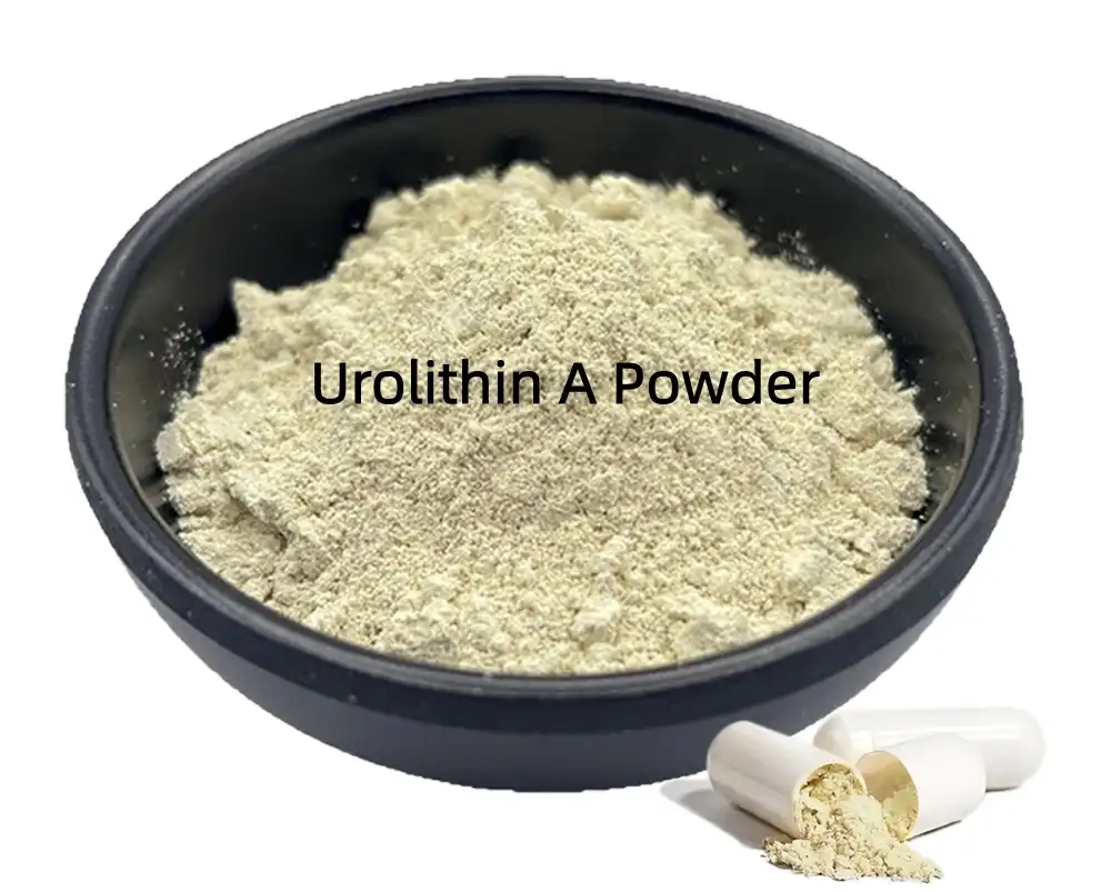Urolithin A Bulk Powder Supplier: What Should Buyers Check First?