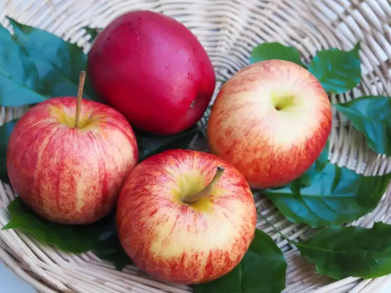 How Does Apple Fiber Powder Compare to Other Fibers?