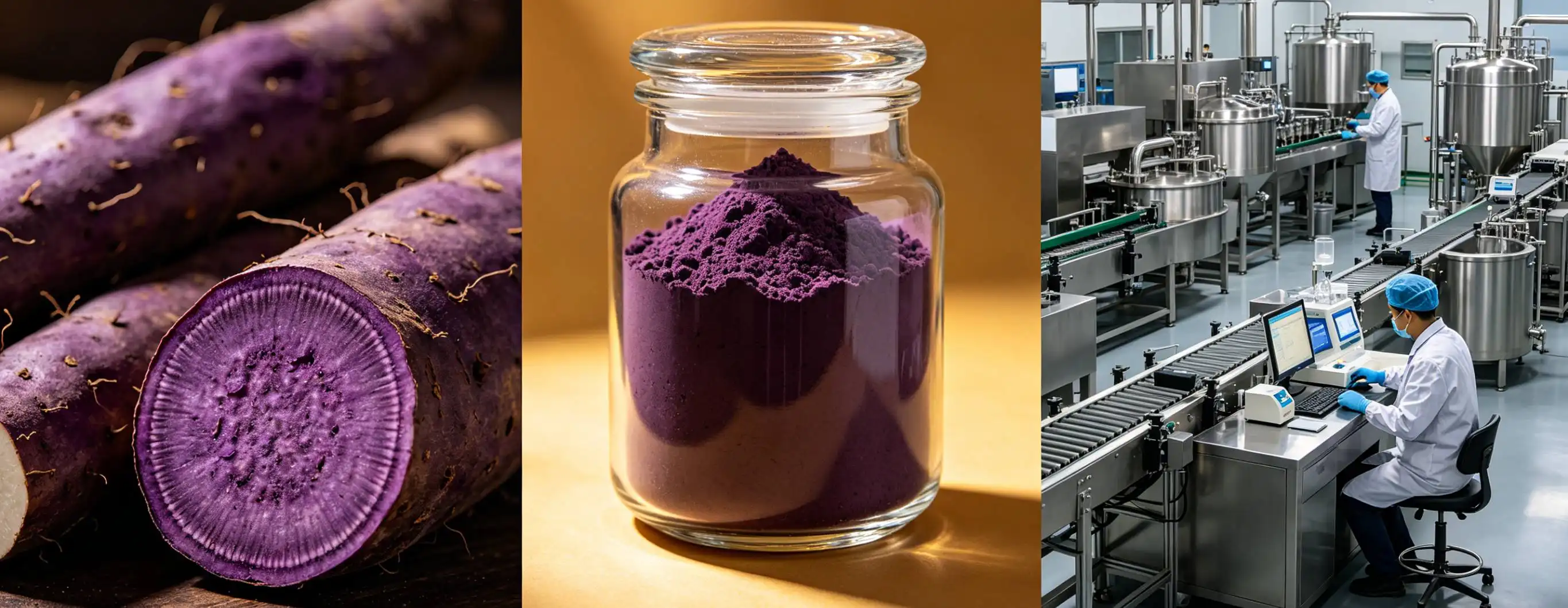 What Makes Premium Purple Yam Ube Powder Stand Out?