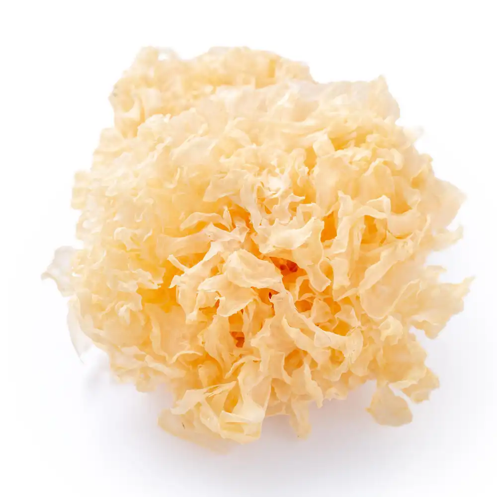 Enhancing Your Supplement Line with Tremella Extract Powder as a Key Ingredient