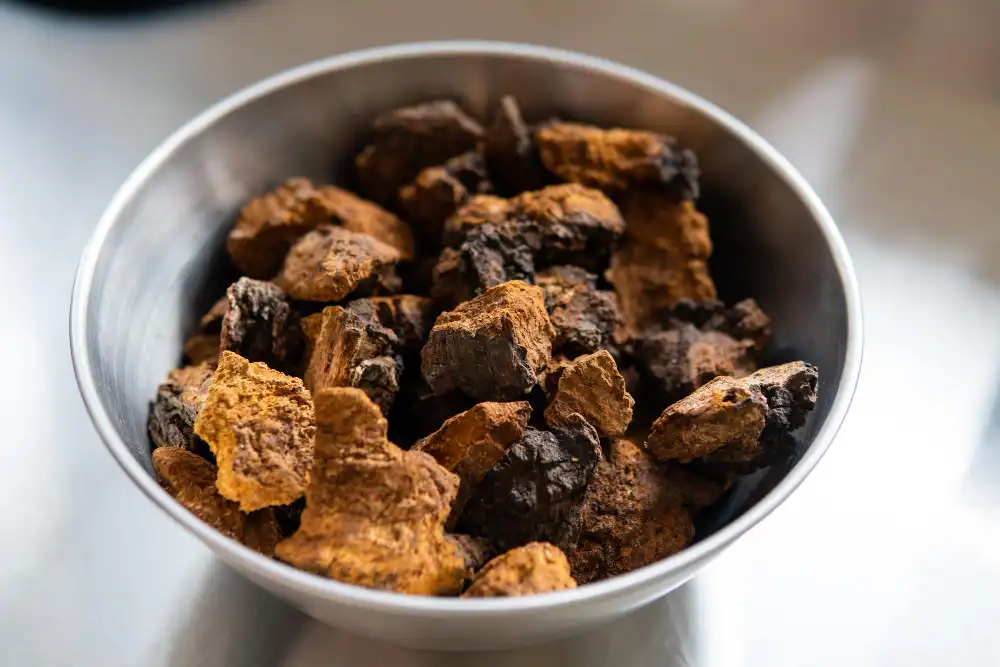 Organic Chaga Mushroom Extract vs Black Gold: Potency & Benefits Compared