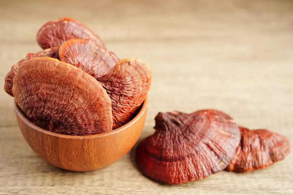 Natural Reishi Extract Powder for Adults: Immunity & Stress Relief