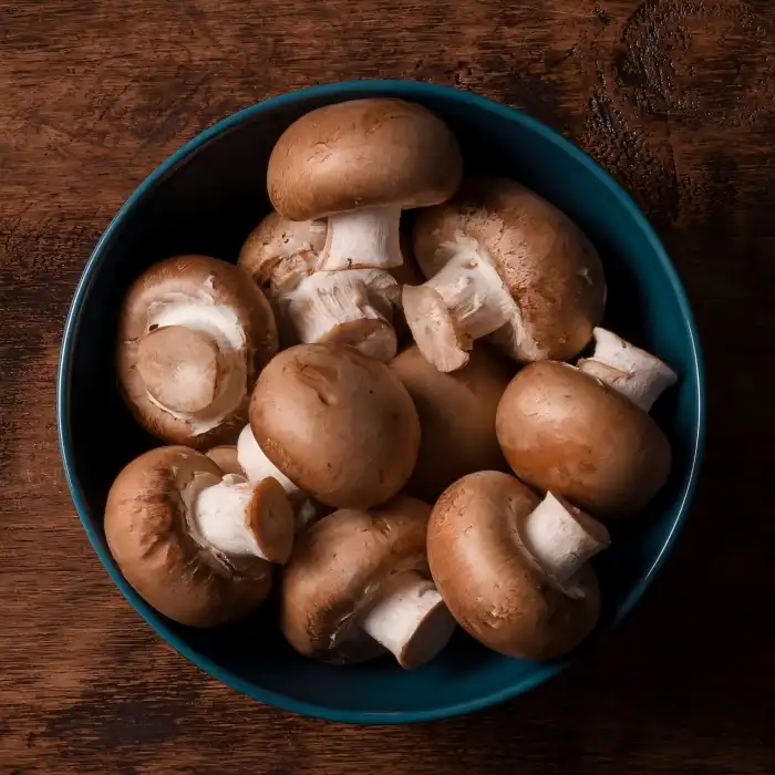 Where to buy high-quality Shiitake Extract Powder at a good price?