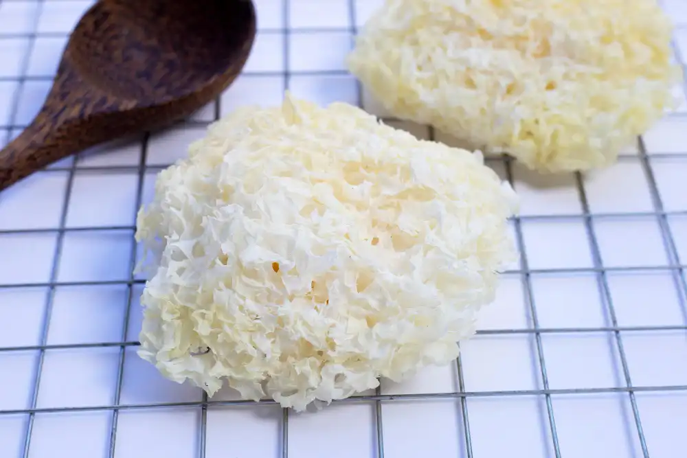 Enhancing Immune Supplements: Add White Fungus Extract Powder for Added Value