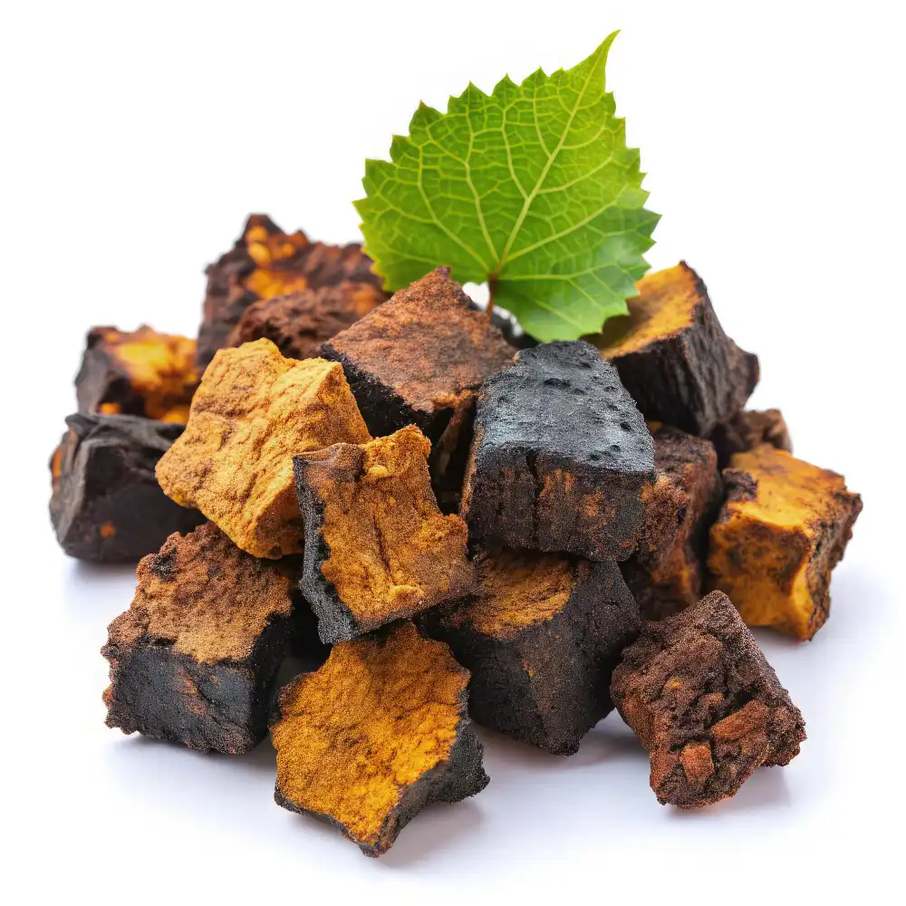 Is Chaga Black Gold Powder Safe for Daily Use?
