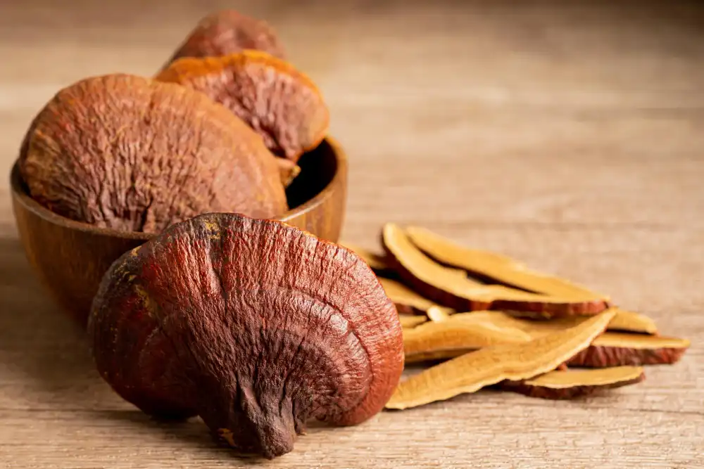 Why Ganoderma Lucidum Extract Powder Is Gaining Traction in Functional Foods