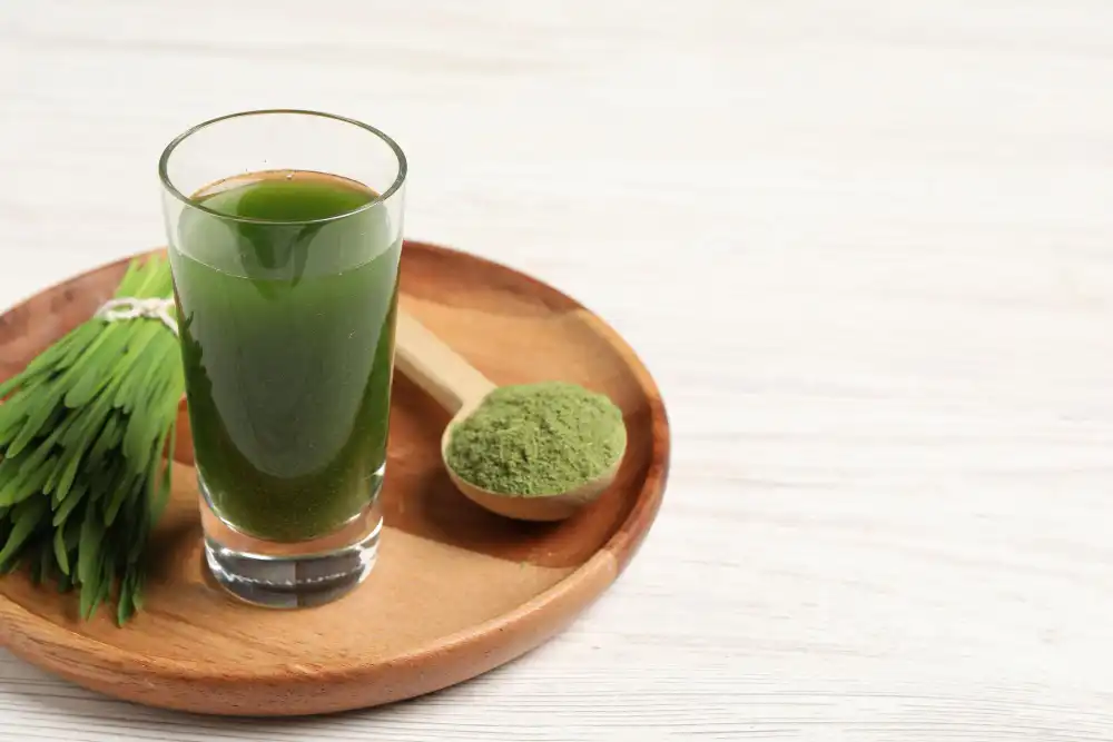 Raw Wheat Grass Juice Powder Uses in Nutraceuticals