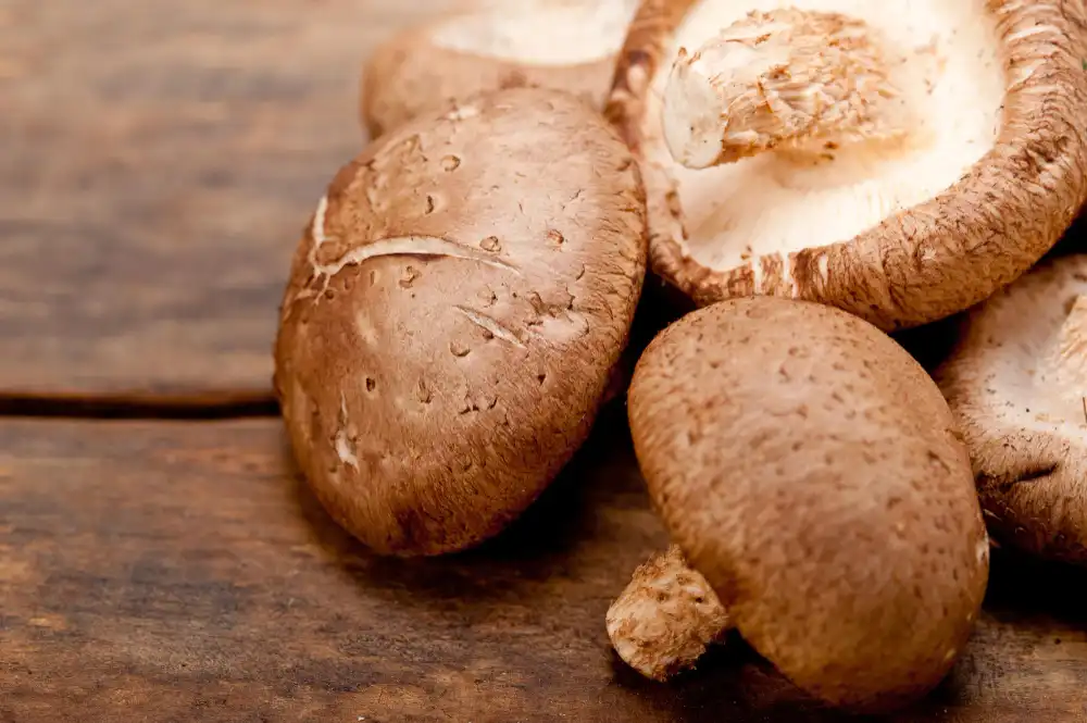 Shiitake Mushroom Extract for Healthy Gut Microbiome Support