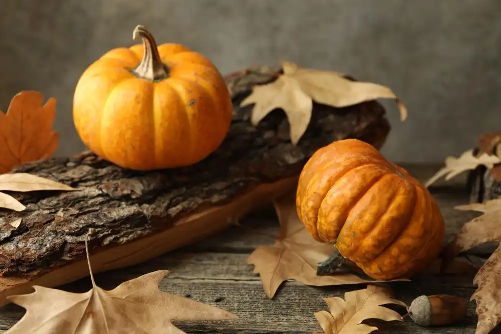 Does Pumpkin Seed Extract Really Promote Better Sleep?