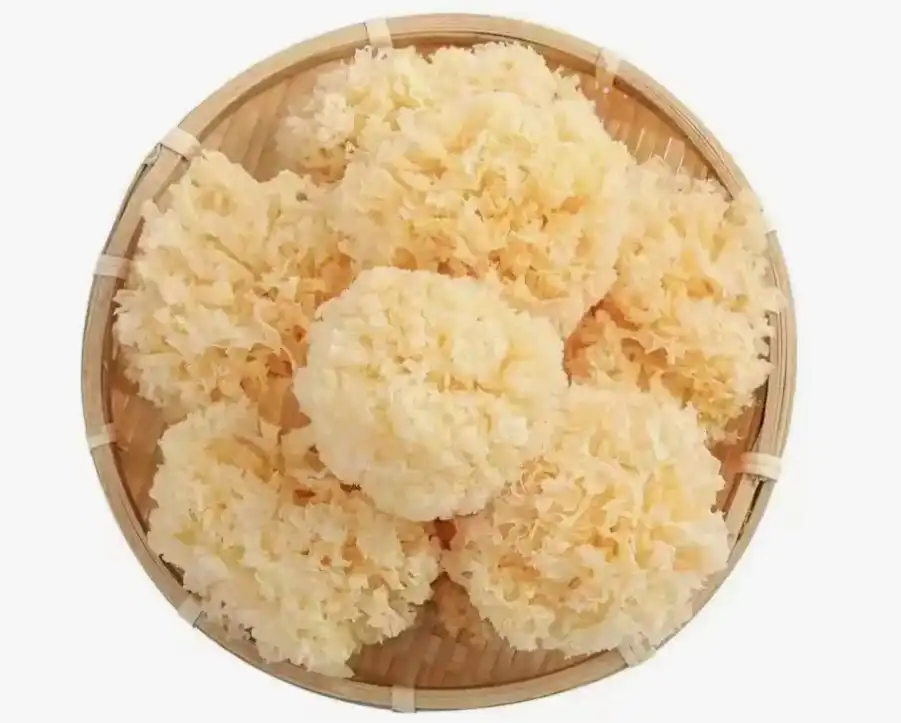 Tremellan Powder Stability & Packaging: Best Practices for Retail