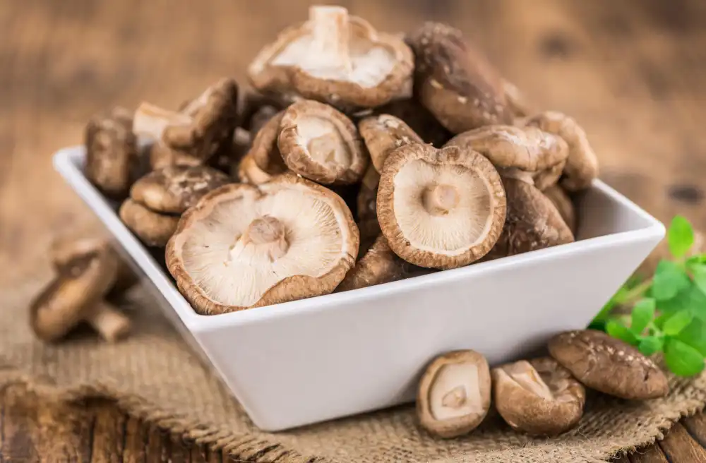 Is Shiitake Mushroom Extract Powder Better Than Whole Mushrooms?