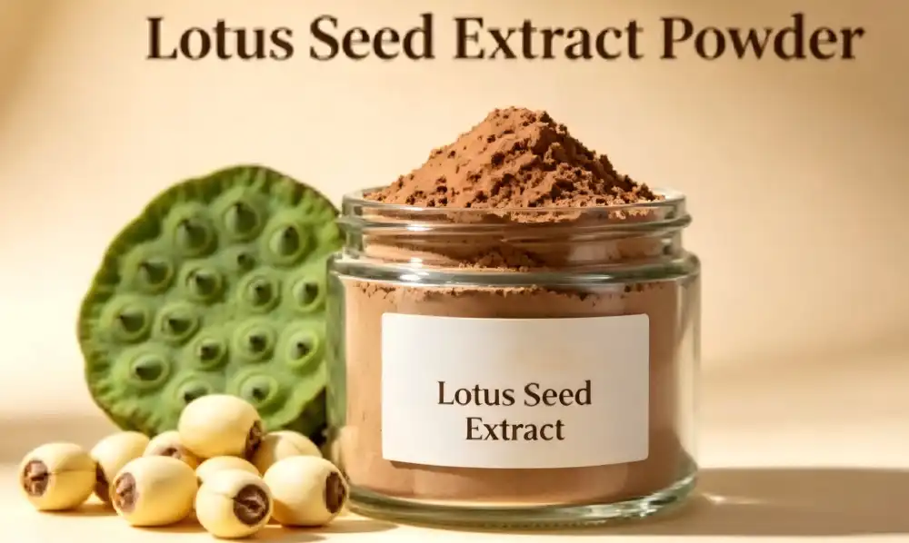 What Makes High-Quality Lotus Seed Extract Powder?