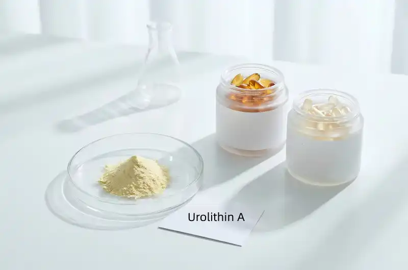 Why Is Urolithin A Bulk Powder Used in Mitochondrial Formulas?