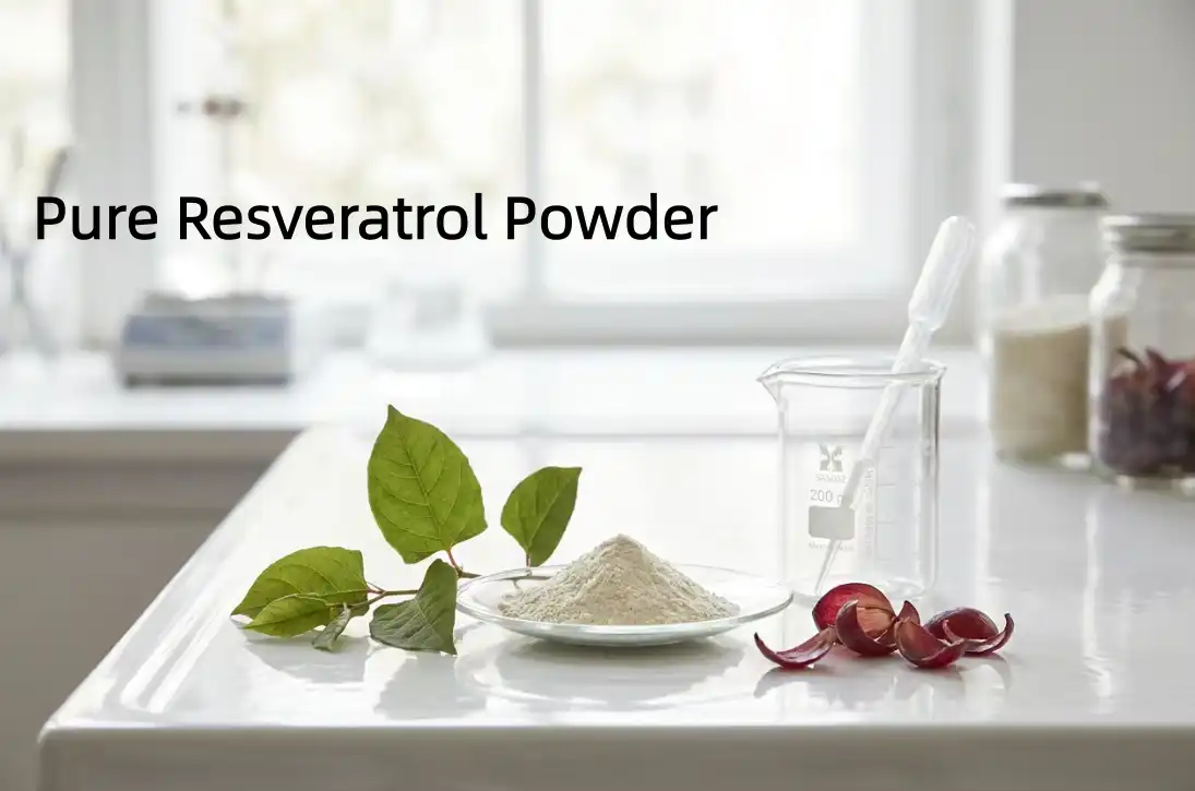 Pure Resveratrol Powder: Natural Anti-Aging Ingredient?