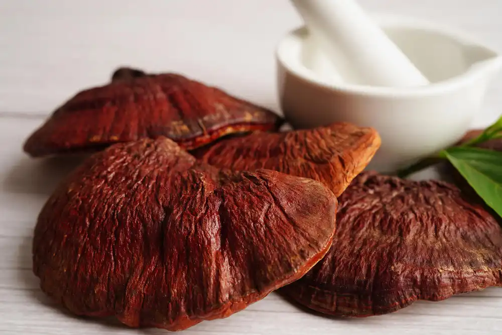 Key Manufacturing Considerations for Ganoderma Lucidum Extract Powder in Bulk Supply