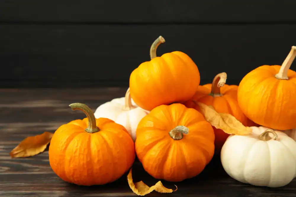 Pumpkin Seed Extract for Digestive Health and Immunity