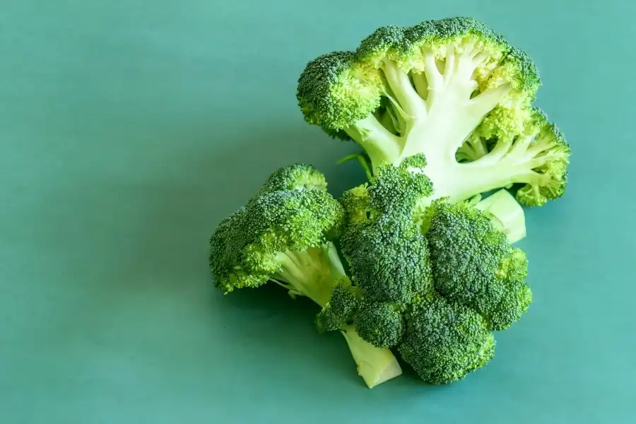 How Can Extract Glucoraphanin Powder Aid Muscle Recovery?