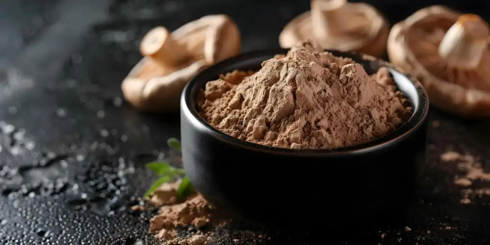 Shiitake Mushroom Extract for Sports Recovery and Wellness Products